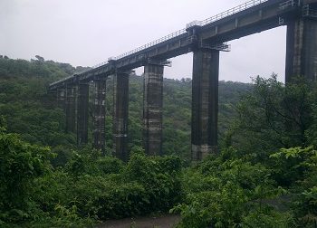 22062011156 22062011156